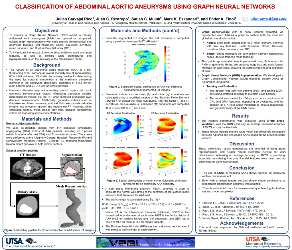 Graph-Based Classification of Abdominal Aortic Aneurysms Using Graph Neural Networks